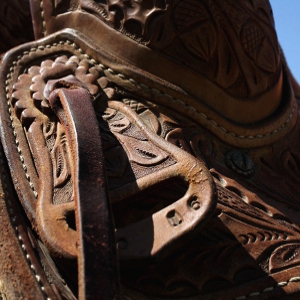 Saddle Up