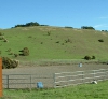 Rocking S Ranch
