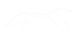 Bittmore Logo
